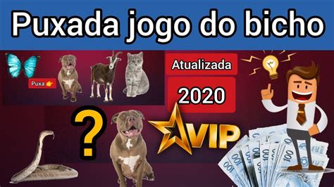 tabela de puxada do jogo do bicho - qual bicho o galo puxa